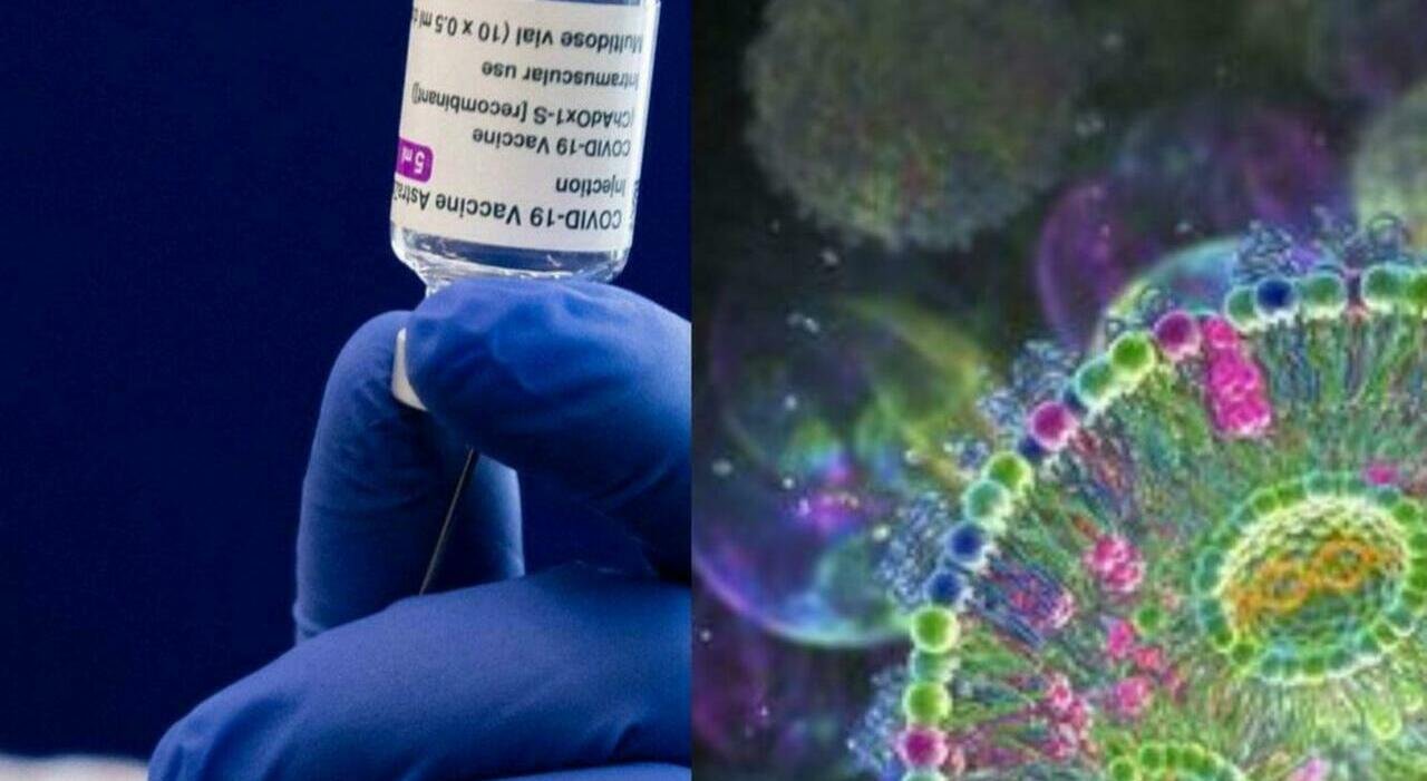 Norovirus in Alto Adige, 9 escursionisti in ospedale a Bressanone. Sintomi e cura del patogeno